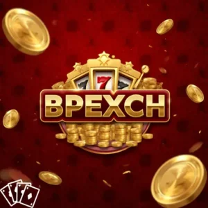 BPEXCH Rummy TDS